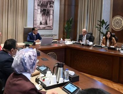 مدبولي يتابع خطط التوسع في تنفيذ مشروعات الطاقة المتجددة 