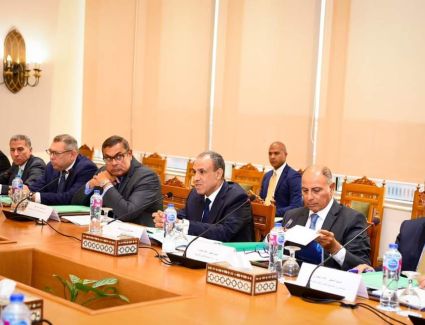وزير الخارجية يجتمع مع مجلس إدارة الوكالة المصرية للشراكة من أجل التنمية