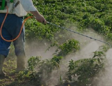 تكثيف حملات التفتيش على أسواق المبيدات.. وتوجيهات بتوفيرها للمزراعين