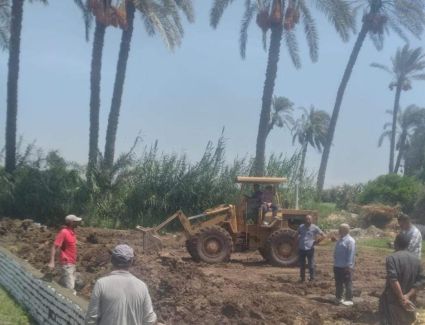 منع التعديات على الأراضى الزراعية والإزالة الفورية لحالات التعدى