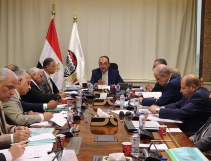  وزير قطاع الأعمال يتابع خطط العمل التنفيذية لشركات «القابضة الكيماوية» ويناقش فرص الاستثمار