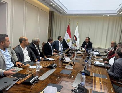  وزير قطاع الأعمال العام يتابع مع موقف تطبيق برنامج «ERP» في الشركات التابعة