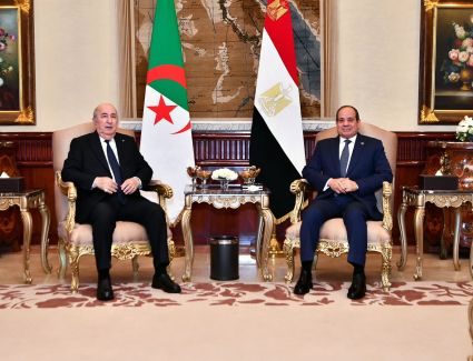 الرئيس السيسي: المباحثات مع الرئيس الجزائري تفتح آفاقا للتعاون بين البلدين