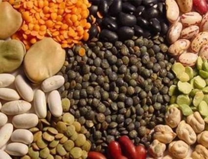 9 أطعمة غنية بالألياف تساعد في تعزيز مناعة الجسم