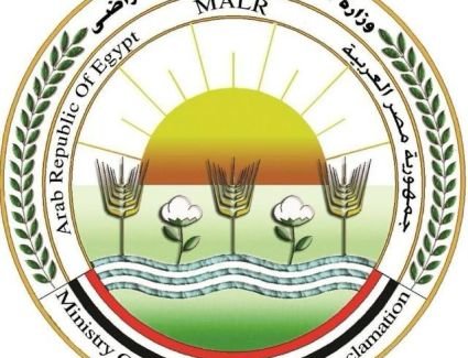 وزارتا "الصحة" و"الزراعة" ينفيان ما يتم تداوله من شائعات حول إصابة الدواجن بفيروس وبائي يمنع تناولها أو الاقتراب منها والتعامل معها