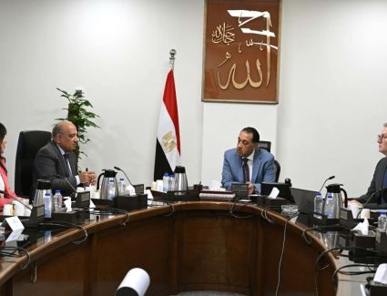 رئيس الوزراء يتابع عددا من الملفات مع وزيري الكهرباء والبترول