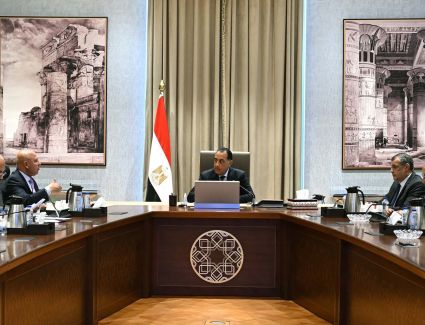 رئيس الوزراء يتابع جهود دعم وتوطين الصناعة في مصر