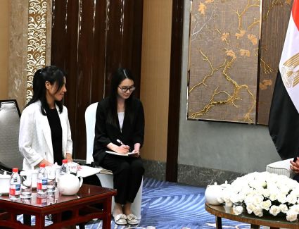 رئيس الوزراء يلتقي رئيسة شركة جيانغسو فينغهاي المحدودة لتطوير تحلية مياه البحر والطاقة الجديدة