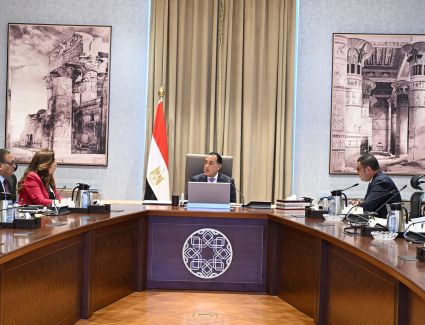 رئيس الوزراء يستعرض الإجراءات المقترحة للتعامل مع انهيار عدد من العقارات
