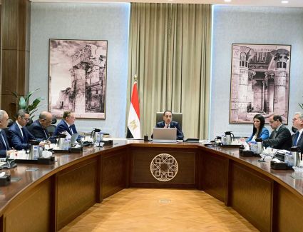 رئيس الوزراء يتابع موقف تنفيذ مشروعات الطاقة المُتجددة وربطها على الشبكة القومية للكهرباء
