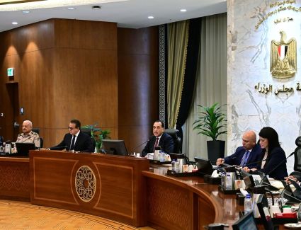 تفاصيل  قرارات مجلس الوزراء في اجتماعه اليوم 