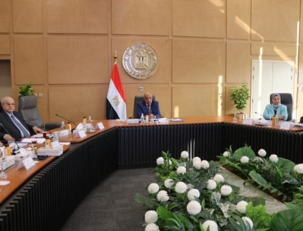 الكهرباء: 45 مليار جنيه حجم الاستثمارات منها 53% لاستكمال المشروعات القائمة و47% للمشروعات الجديدة 