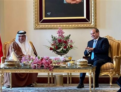 الرئيس السيسي يبحث مع ولي عهد البحرين تعزيز التعاون المشترك في مختلف المجالات