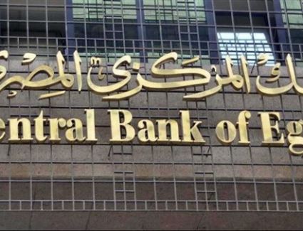 لأكثر من 15 مليار جنيه.. المركزي المصري  يرفع مساهماته في رؤوس أموال مؤسسات دولية