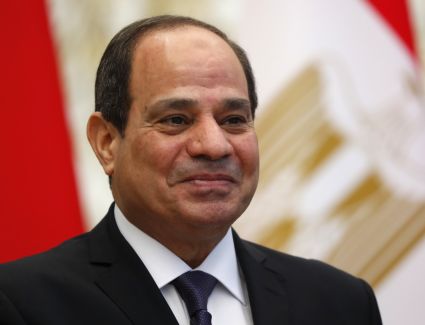 الرئيس السيسي يستقبل سلطان الجابر ويرحب بزيادة الاستثمارات الإماراتية بمصر
