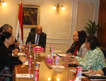 وزير قطاع الأعمال يبحث مع "هاندا" الصينية تعزيز التعاون وزيادة استثماراتها في مصر