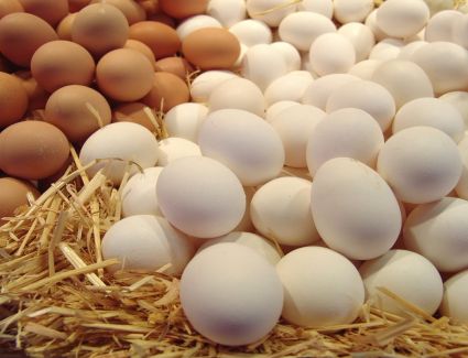 سعر كرتونة البيض اليوم 7 نوفمبر في السوق المحلية 