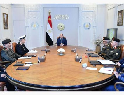 الرئيس السيسي يطلع على مستجدات تطوير منطقة شرق الإسكندرية