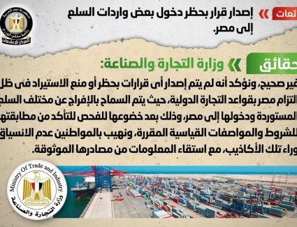 الحكومة تنفي شائعة إصدار قرار بحظر دخول بعض واردات السلع إلى مصر